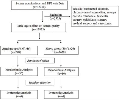 A new perspective on semen quality of aged male: The characteristics of metabolomics and proteomics